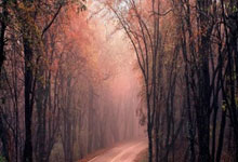 亿万28官网：福勒：希望范戴克他们能留下，但无论如何我都会支持利物浦.