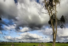 NBA官方MVP榜：约基奇力压亚历山大回榜首 库里第6.