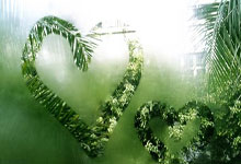 亿万28官网：[图]詹姆斯东契奇双双休战 湖人遭遇四连败.